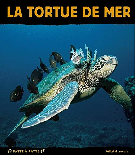 tortue de mer (La)