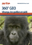 Virunga , les gorilles en péril