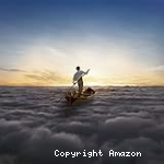 Endless river (The)