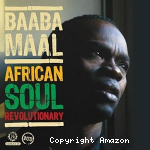 African soul revolutionary