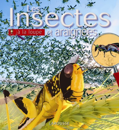 Insectes et araignées