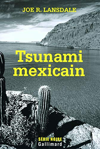 Tsunami mexicain
