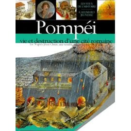 Pompéi, vie et destruction d'une cité romaine