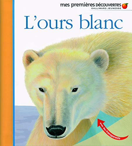 ours blanc (L')