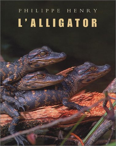alligator (L')