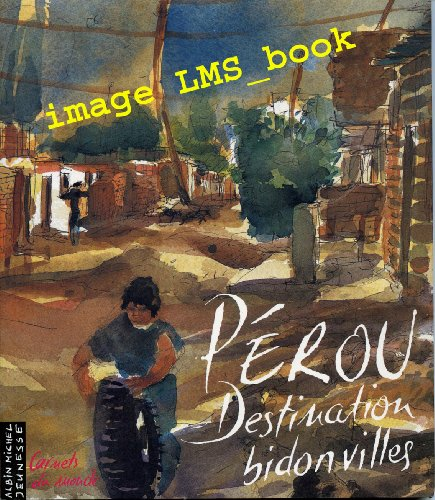 Pérou, destination bidonvilles