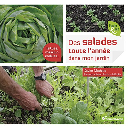 Des salades toute l'ann?ee dans mon jardin
