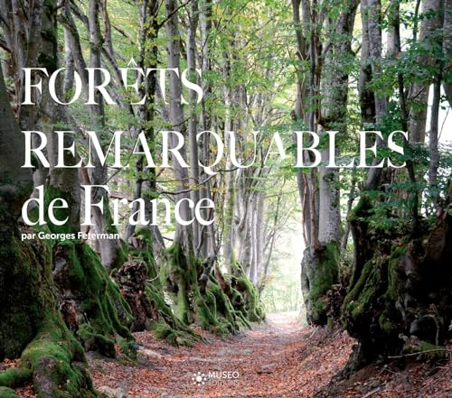 Les Forêts remarquables de France