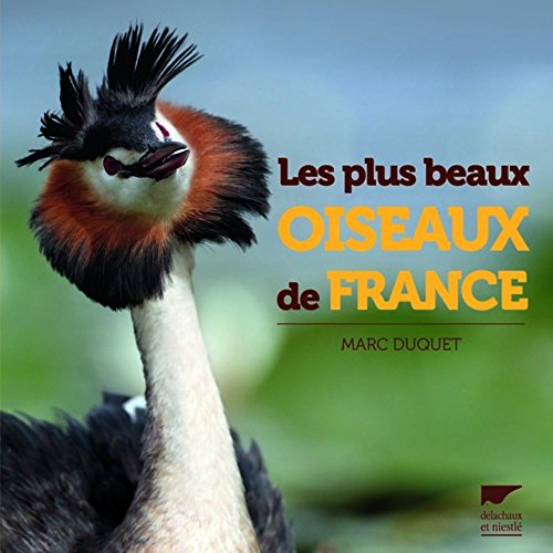 Les plus beaux oiseaux de France