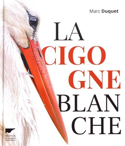 cigogne blanche (La)