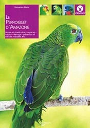 Le perroquet d'Amazonie