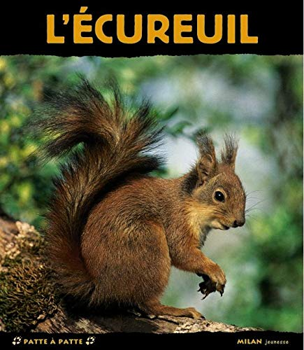 écureuil L'