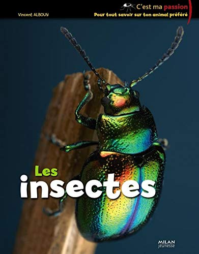 insectes (Les)