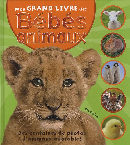 Mon grand livre des bébés animaux
