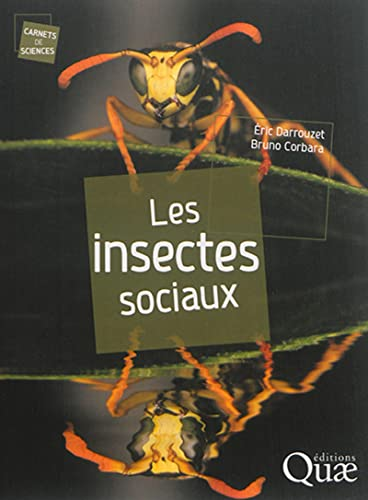insectes sociaux (Les)