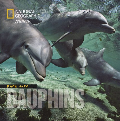Face aux dauphins