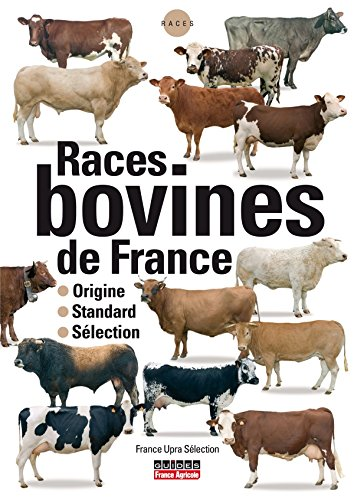 Race bovines de France