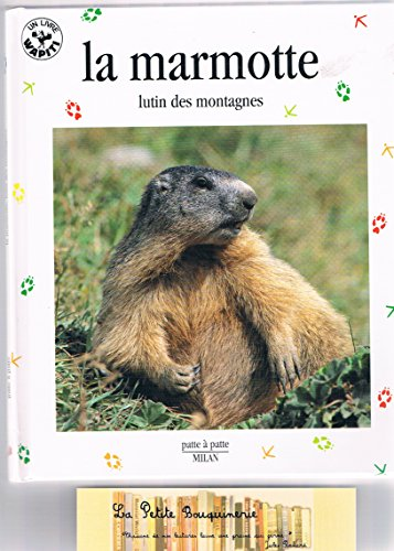 Marmotte , lutin des montagnes (La)