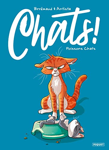 Poissons chats